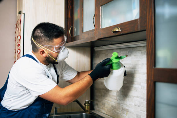 Best Mosquito Control Services  in Bunker Hl, IL