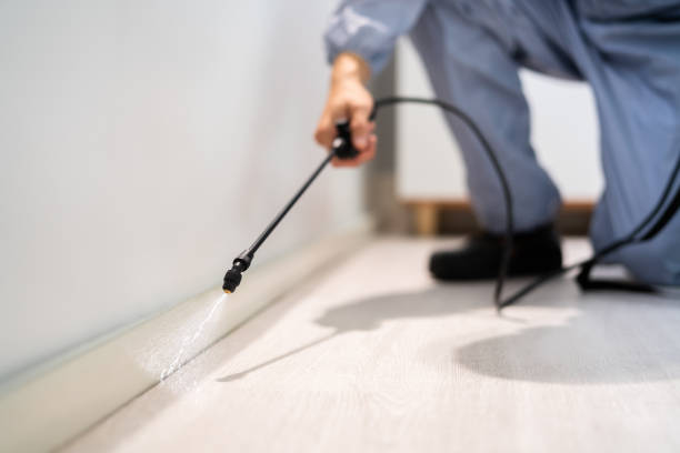Pest Prevention Services in Bunker Hill, IL