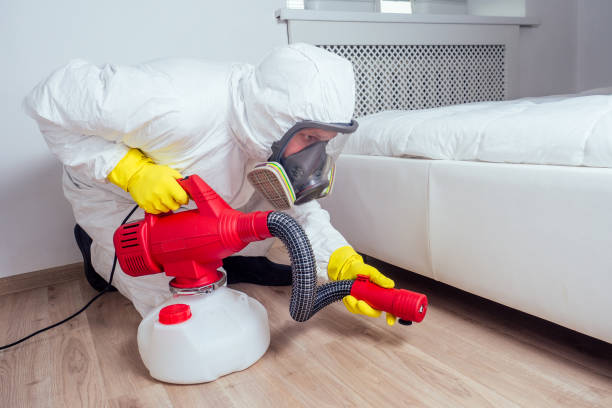 Best Insect Control  in Bunker Hl, IL