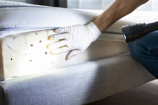 Best Residential Pest Control  in Bunker Hl, IL