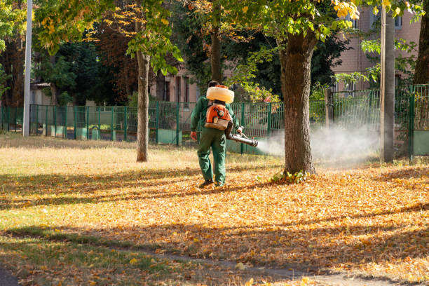 Best Affordable Pest Control Services  in Bunker Hl, IL