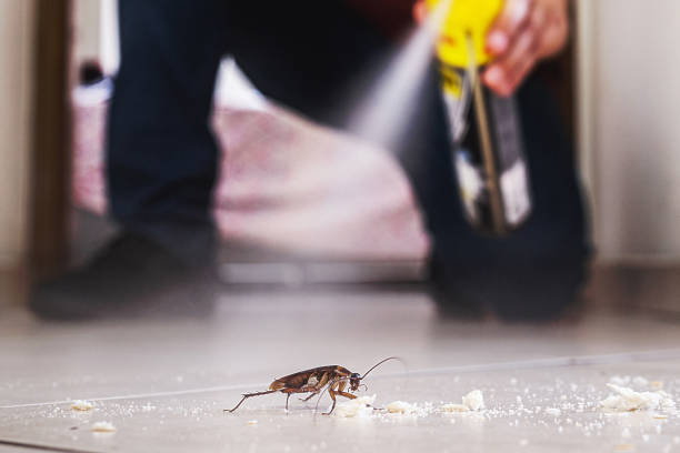 Best Bed Bug Extermination  in Bunker Hl, IL