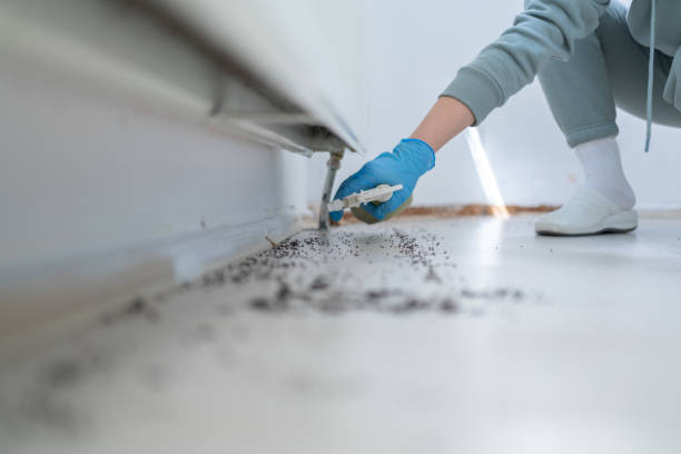 Best Pest Control Near Me  in Bunker Hl, IL