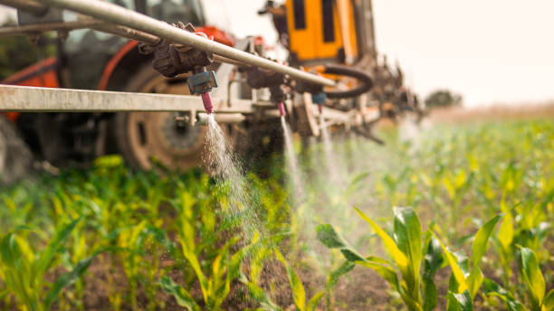 Best Commercial Pest Control Services  in Bunker Hl, IL